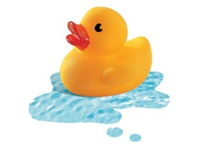 Rubber Duck Collection Can Be Fun And Inexpensive For The Whole Family