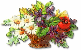Search Terms  Assorted Flowers Basket Basket Of Flowers Blooms