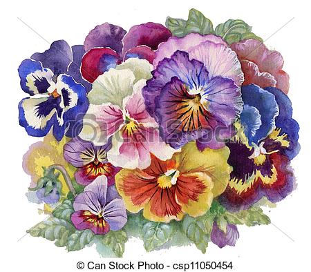 Stock Images Of Viola Tricolor  Watercolor Flower Bouquet Flower
