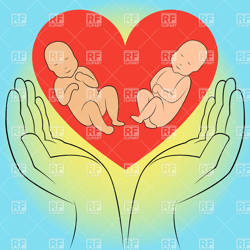 Two Unborn Babies In Human Hands On The Heart Download Royalty Free