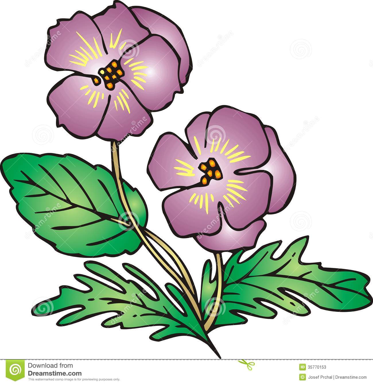 Viola Flower Clipart