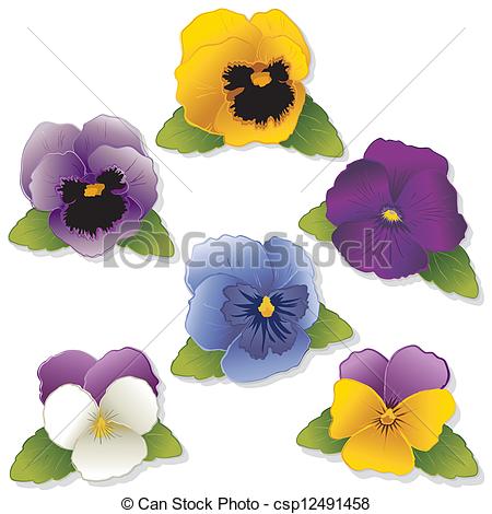 Viola Flower Clipart Clipart Vector Of Pansies And Johnny Jump Ups