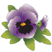 Viola Flower Clipart Viola Clip Art   Royalty Free   Gograph