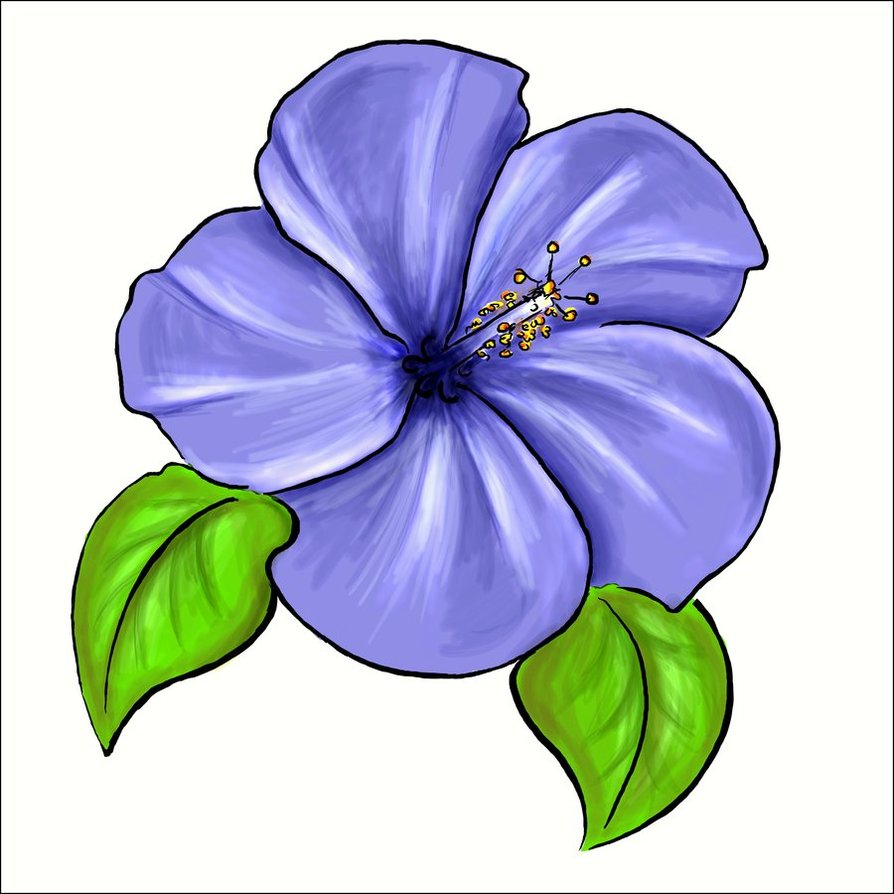 Viola Flower Clipart Violet Flower Clip Art Viola