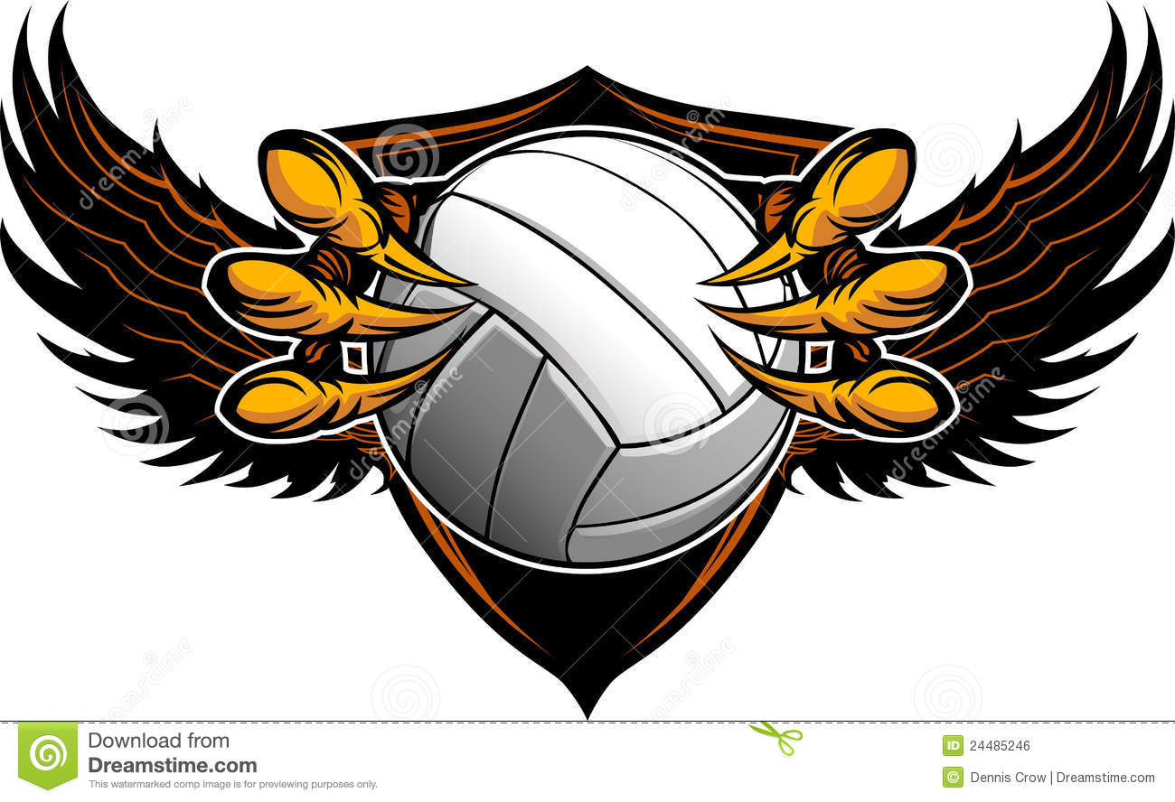 Eagle Volleyball Talons And Claws Royalty Free Stock Image   Image