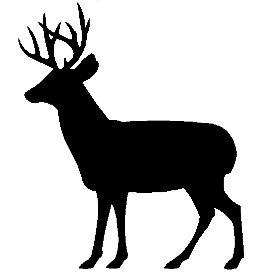 Fish And Wildlife Png