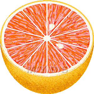 Grapefruit Clipart   Free Clip Art