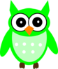 Green Owl Clip Art At Clker Com   Vector Clip Art Online Royalty Free