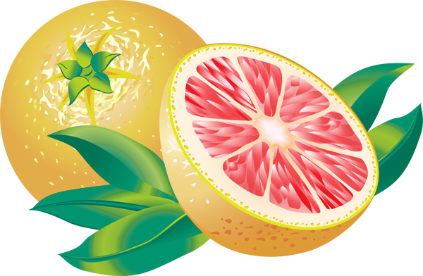 Pink Grapefruit Clipart Grapefruit Kiwi Mangos