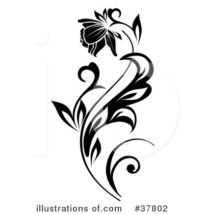 Scroll Clipart  37802   Illustration By Onfocusmedia