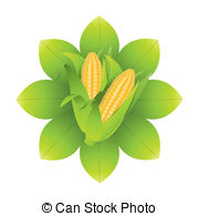 Sweet Corn Vector Clip Art Illustrations  1784 Sweet Corn Clipart Eps