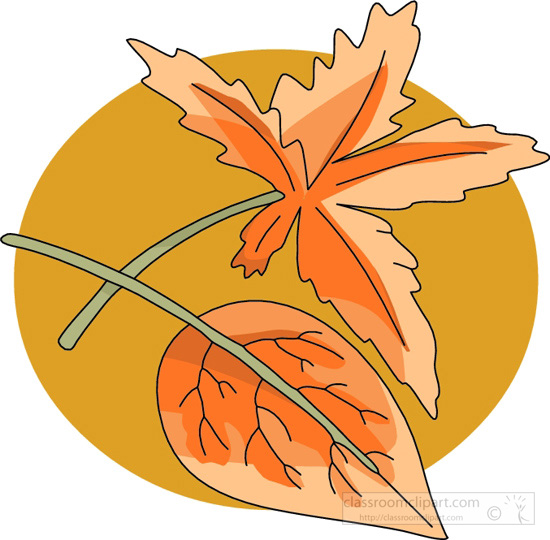 Thanksgiving Clipart   Two Fall Leaves   Classroom Clipart