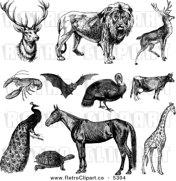 Vector Clipart Of Black And White Retro Wild And Farm Animals By    