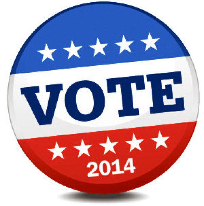 Vote Follow Art0 Gg7su1j1 1button Vote Election Campaign 2014 Jpg
