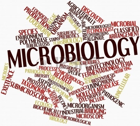 Microbiolog A Agr Cola