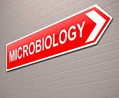 Microbiology Clip Art   Beautiful Scenery Photography