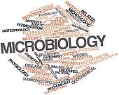Microbiology Clip Art   Beautiful Scenery Photography