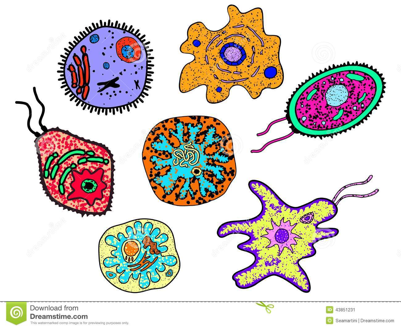 Microbiology Clip Art