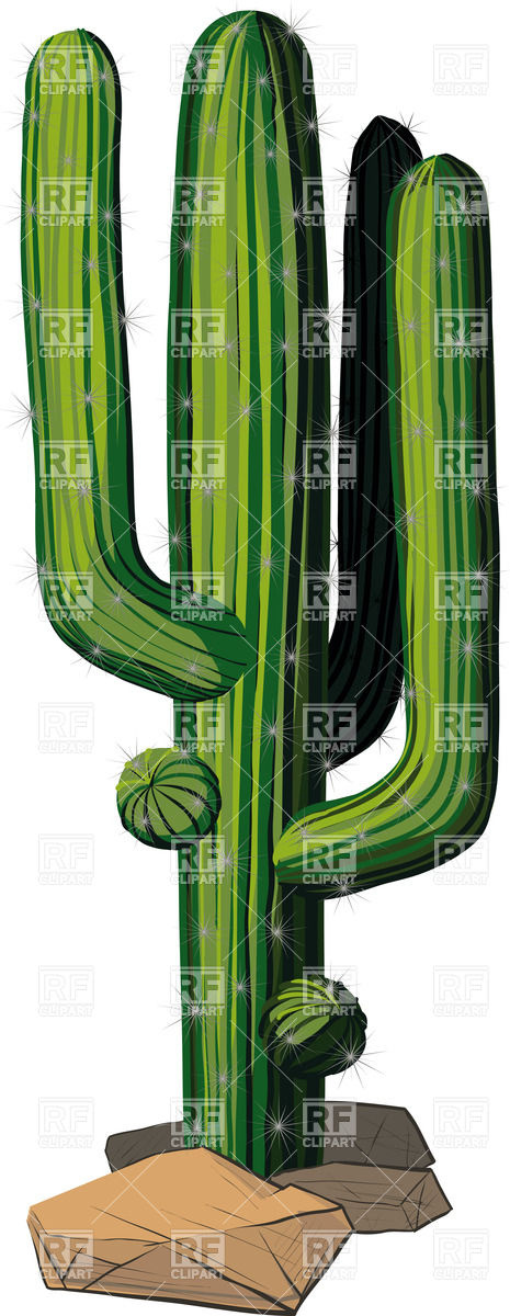 On A Rocky Texas Soil Download Royalty Free Vector Clipart  Eps