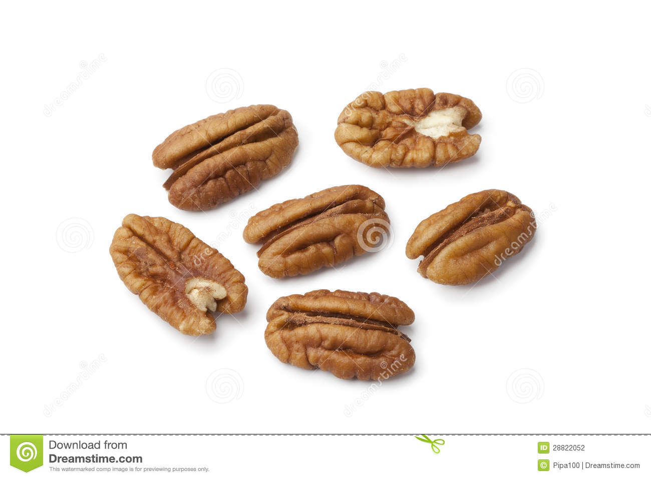 Pecan Nuts Stock Photography   Image  28822052
