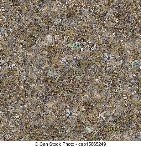 Seamless Texture Of Plot Rocky Steppe Soil With Shells And Stones In