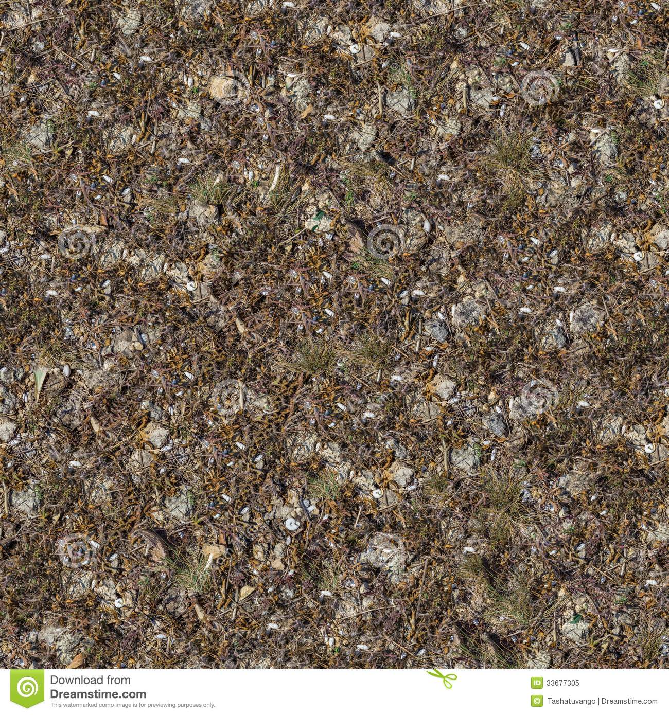 Seamless Texture Of Rocky Soil Covered With Withered Dry Grass Leaves