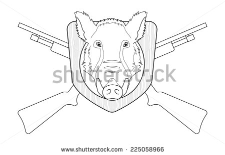 Vector Wild Boar Drawings