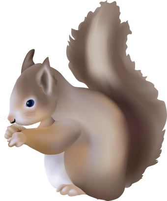 Clip Art Of A Bushy Tailed Squirrel Chewing On A Nut Or Acorn