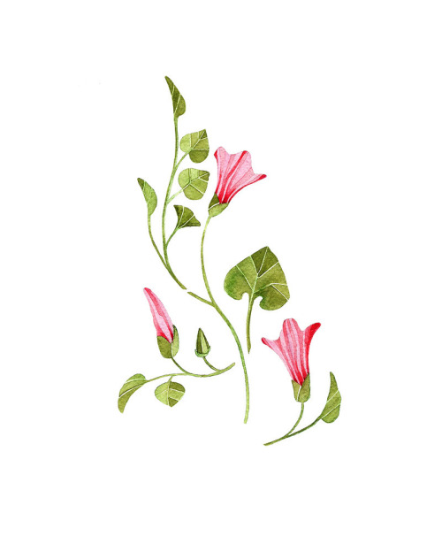 Flowers Digital Clip Art Watercolor Pink Green Leaves Instant Download    