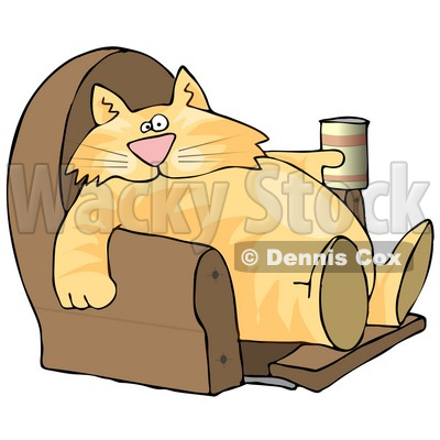 Funny Human Like Cat Sitting On A Recliner Chair With A Can Of Beer