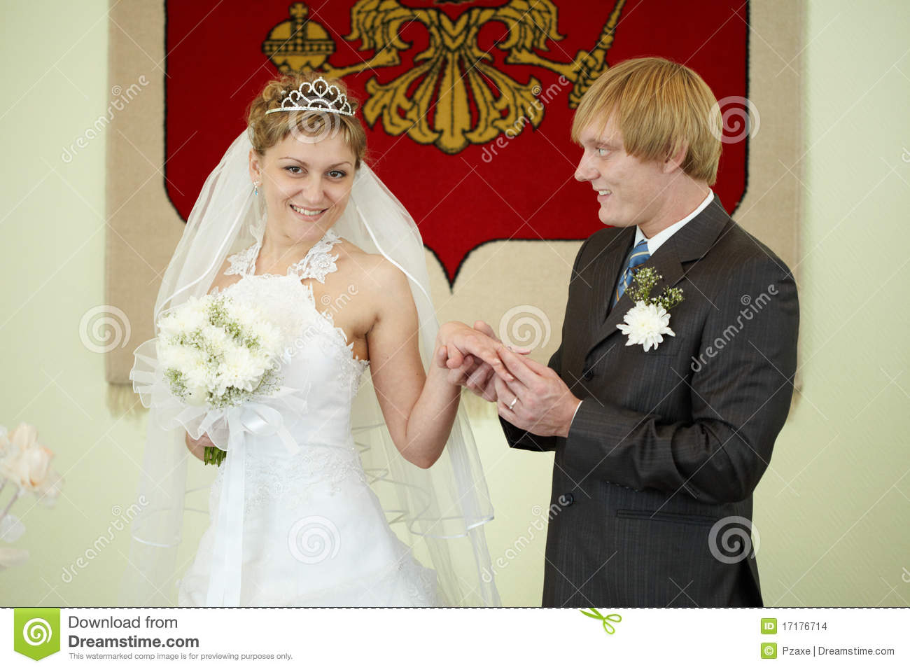 Groom Solemnly Puts Ring On Bride Stock Images   Image  17176714