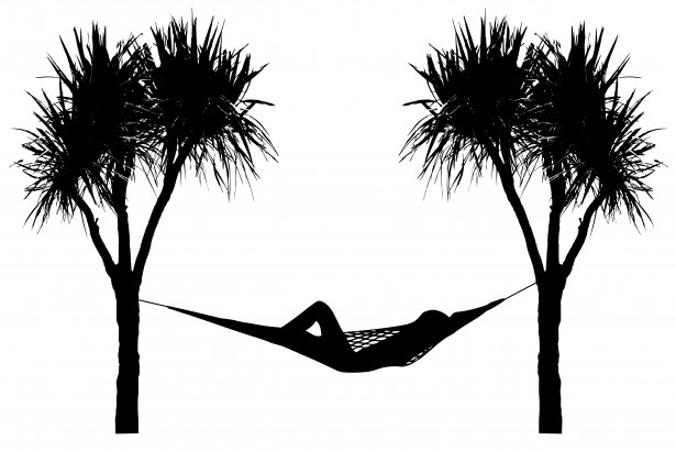 Hammock Between Palm Trees By Karen Arnold