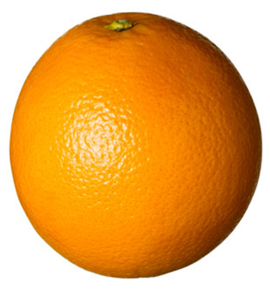 Lang Gang Orange Laranja   Free Images At Clker Com   Vector Clip Art