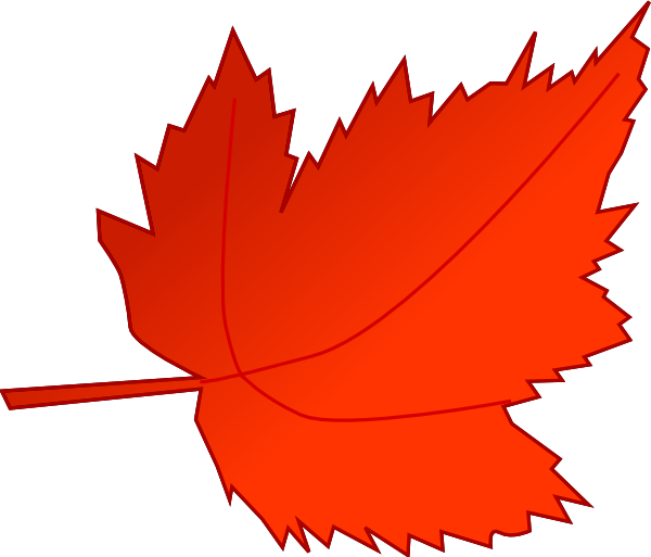 Maple Red Leaf Clip Art At Clker Com   Vector Clip Art Online Royalty    