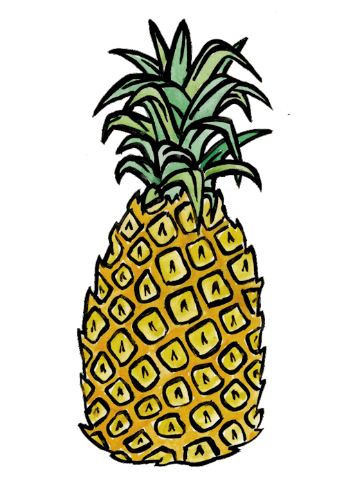 Pineapple Background Tumblr   Clipart Panda   Free Clipart Images