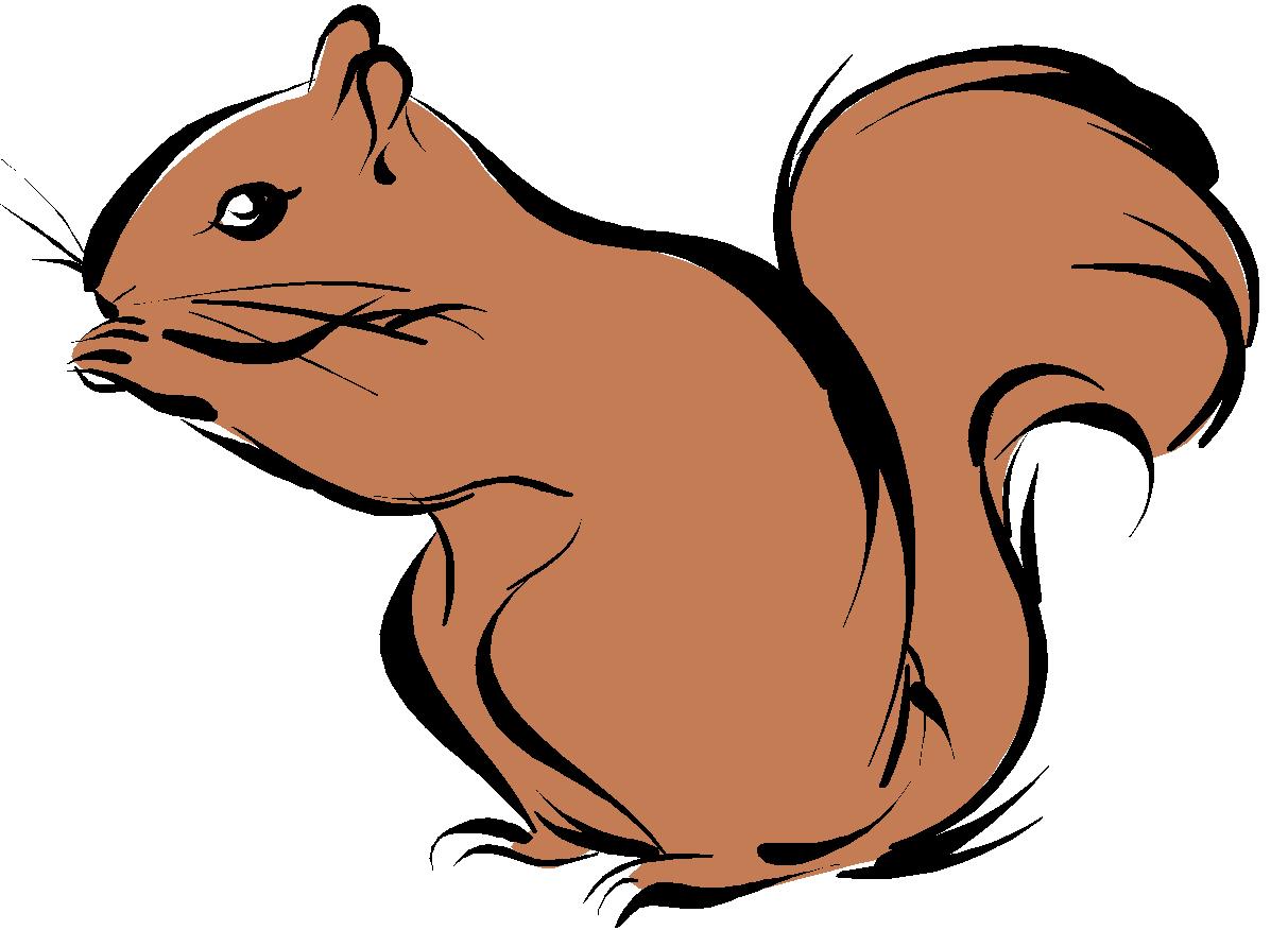 Squirrel Clipart Black And White   Clipart Panda   Free Clipart Images