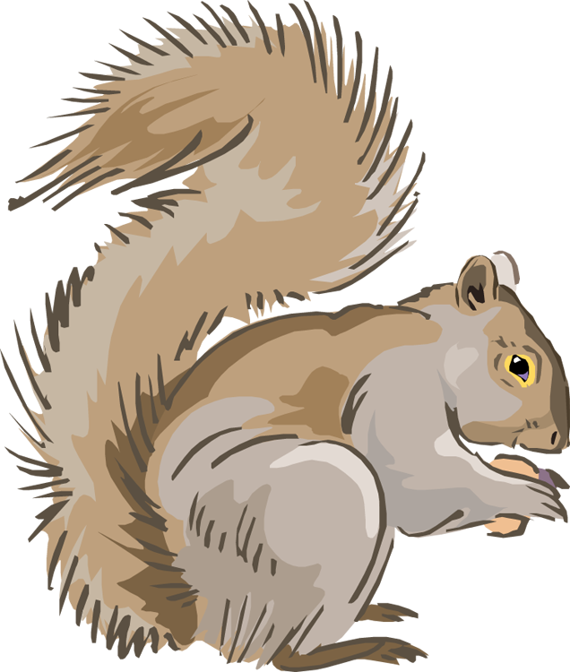 Squirrel Clipart Hungry Squirrel