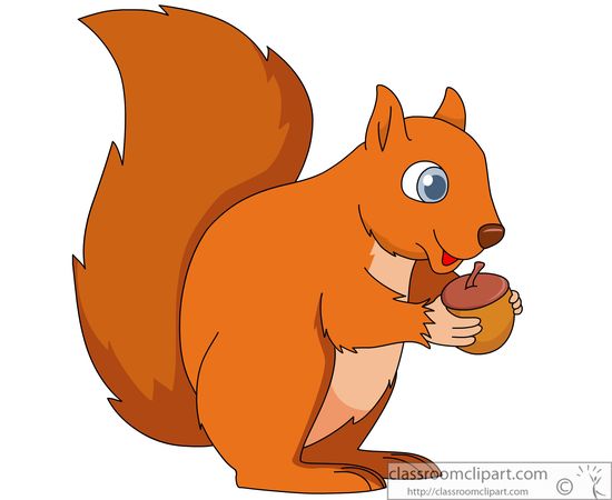 Squirrel Clipart   Squirrel Holding Acorn Nut 914   Classroom Clipart