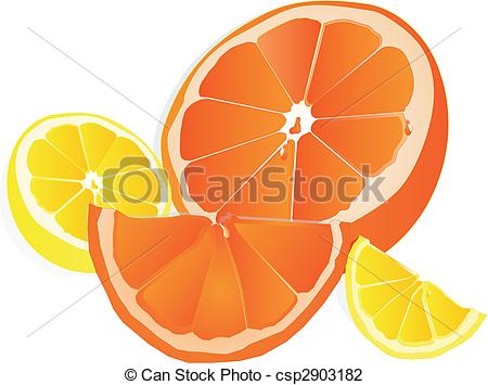 Vector   Oranges And Lemons Illustration   Stock Illustration Royalty