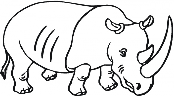 14 Outline Of Rhino Free Cliparts That You Can Download To You
