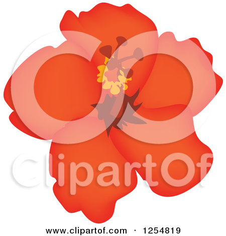 Clipart Of A Red Hibiscus Flower Royalty Free Vector Illustration By