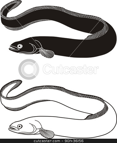 Eel River Stock Vector Clipart Vector Illustration Black And White
