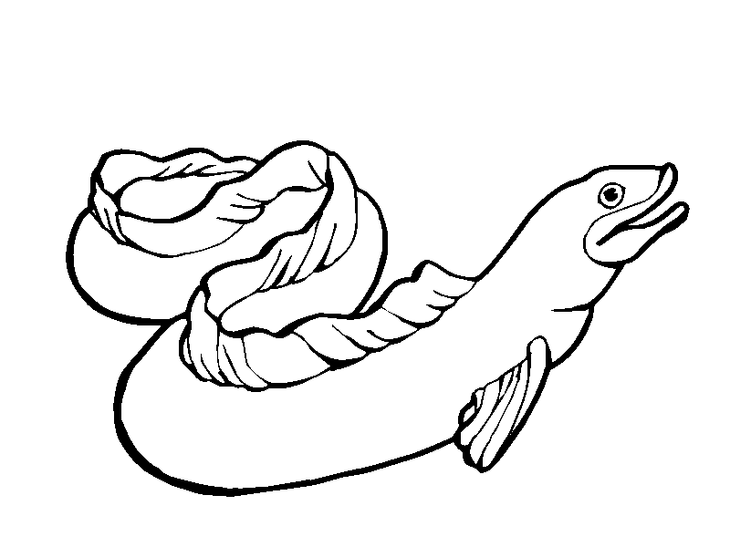 Electric Eel Coloring Page   Az Coloring Pages