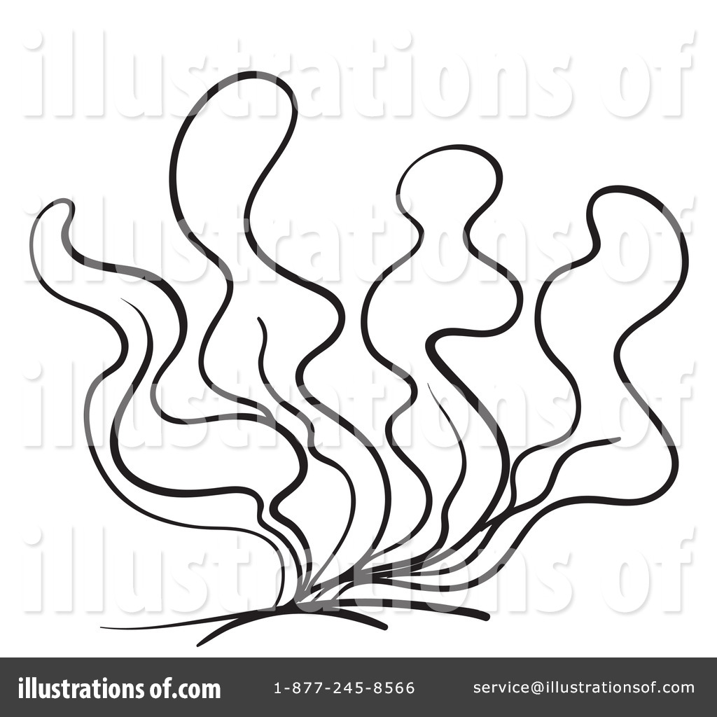 Seaweed Plant Colouring Pages  Page 2 