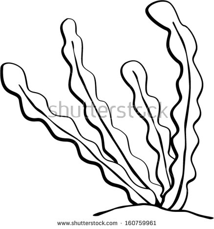 Seaweed Stock Vector Illustration 160759961   Shutterstock