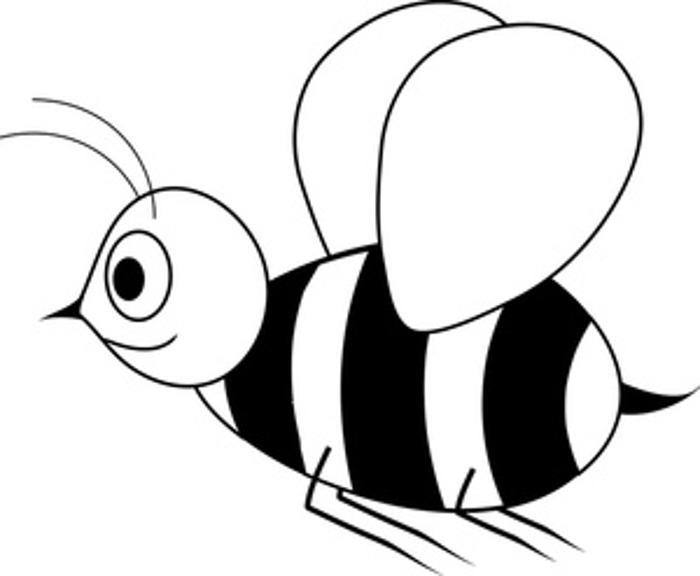 Bees Clipart Black And White   Clipart Best