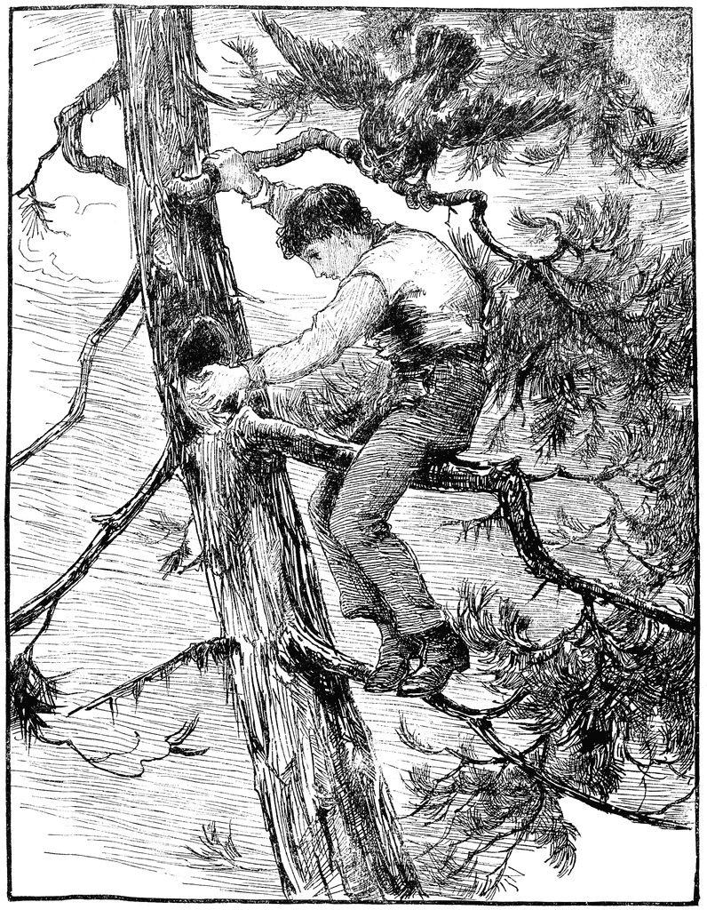 Boy Climbing Tree   Clipart Etc