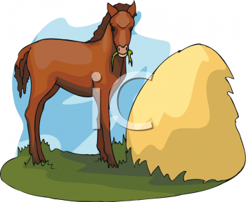 Clip Art Animal Images Animal Clipart Net Clipart Of A Baby Horse