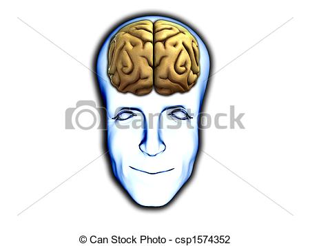 Clip Art Of Smart Head With Brain   A Happy Face With Visable Brain