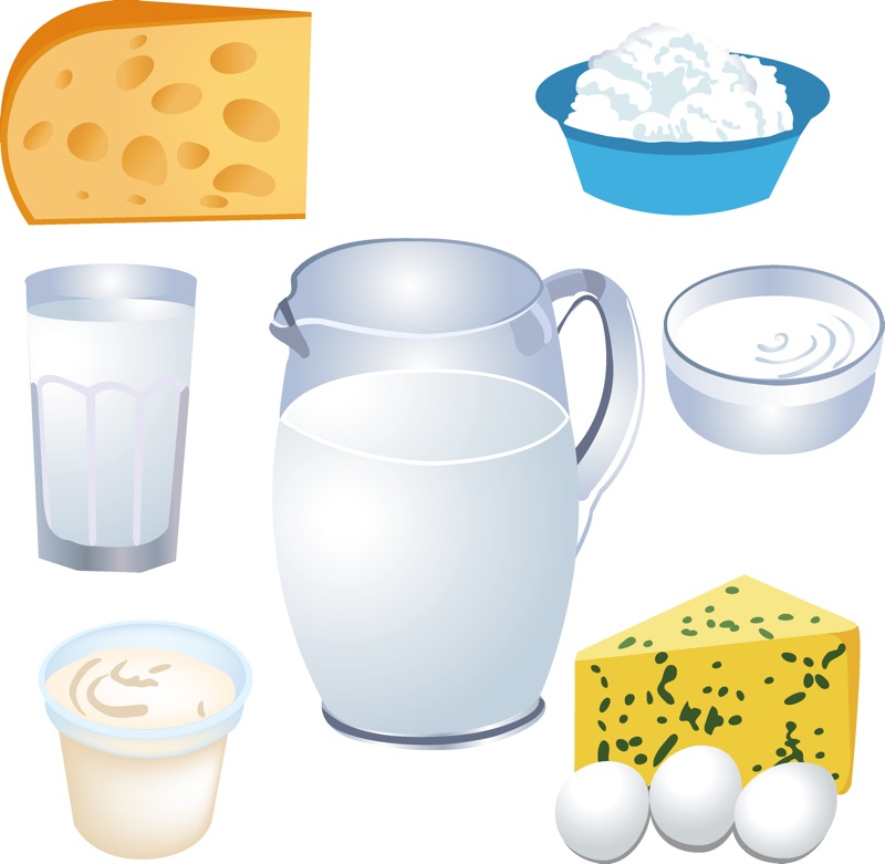 Dairy Products Vector
